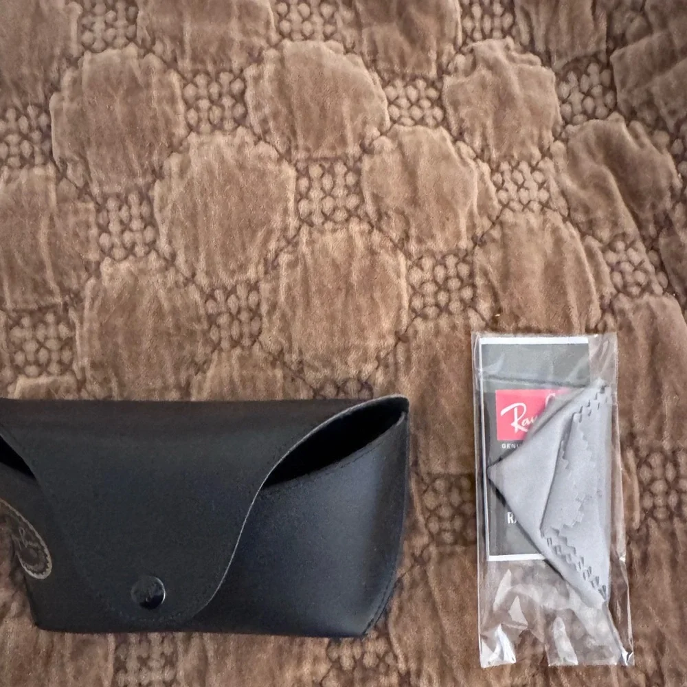 Ray-Ban Black Case with Gray Cloth